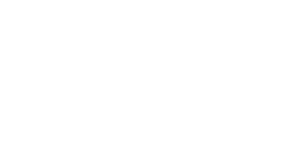 네오 넷 logo